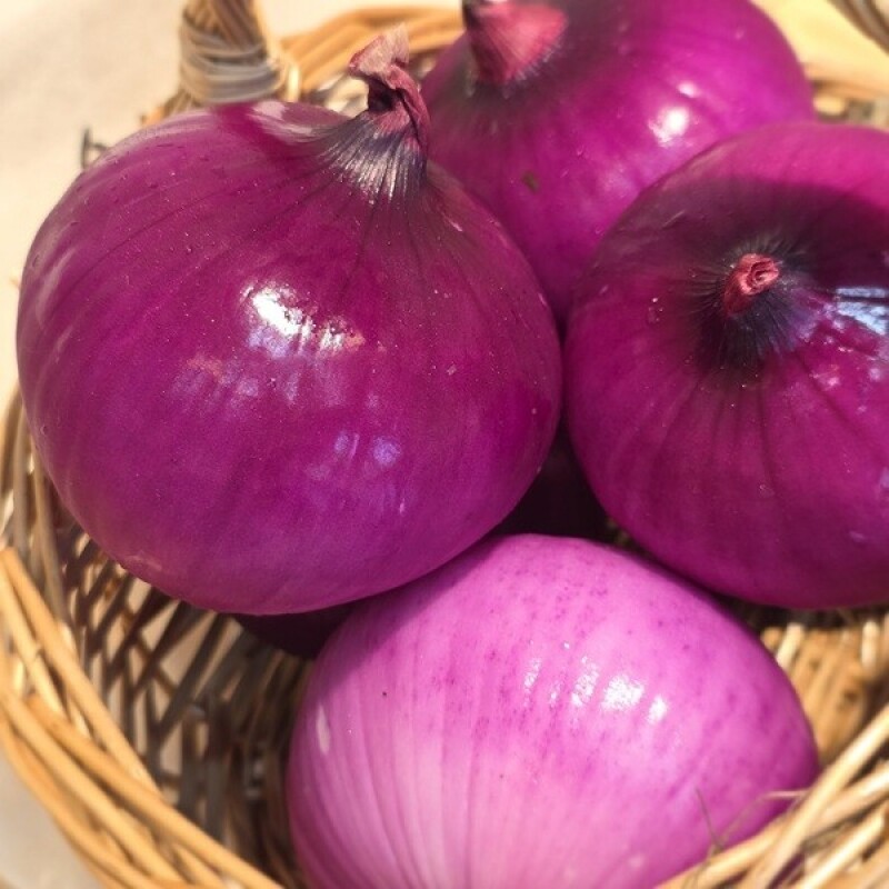 솔바우농부쌀,솔바우,춘천솔바우,지역먹거리,현지인먹거리,춘천먹거리,강원먹거리,백미,쌀,춘천농산물,강원농산물