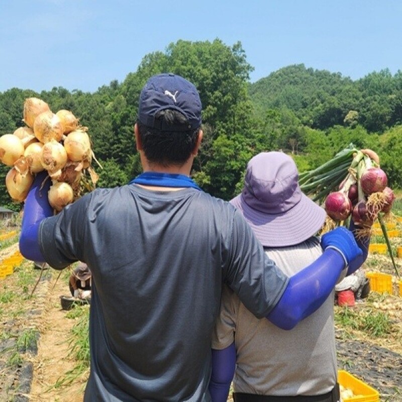 솔바우농부쌀,솔바우,춘천솔바우,지역먹거리,현지인먹거리,춘천먹거리,강원먹거리,백미,쌀,춘천농산물,강원농산물