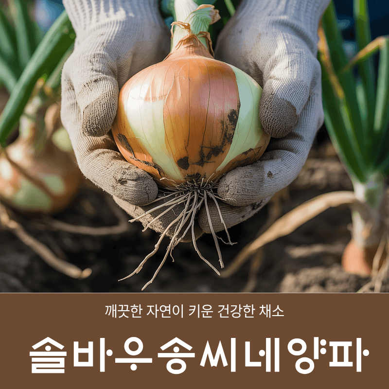 솔바우농부쌀,솔바우,춘천솔바우,지역먹거리,현지인먹거리,춘천먹거리,강원먹거리,백미,쌀,춘천농산물,강원농산물