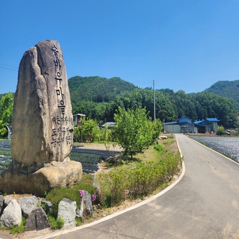 솔바우농부쌀,솔바우,춘천솔바우,지역먹거리,현지인먹거리,춘천먹거리,강원먹거리,백미,쌀,춘천농산물,강원농산물