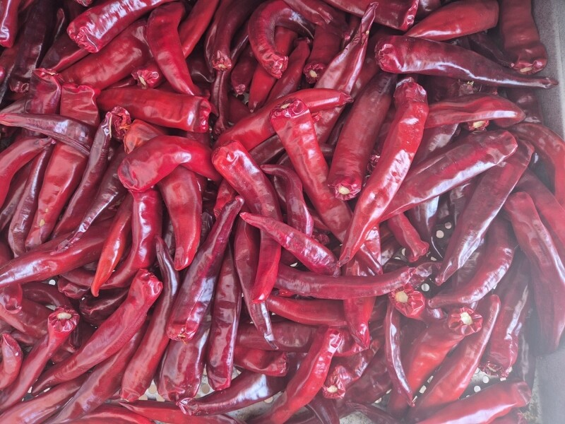 솔바우농부쌀,솔바우,춘천솔바우,지역먹거리,현지인먹거리,춘천먹거리,강원먹거리,백미,쌀,춘천농산물,강원농산물