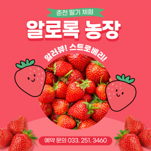 솔바우 알로록딸기농장 체험