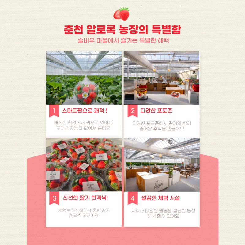 솔바우농부쌀,솔바우,춘천솔바우,지역먹거리,현지인먹거리,춘천먹거리,강원먹거리,백미,쌀,춘천농산물,강원농산물