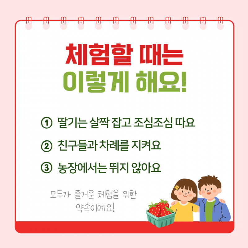 솔바우농부쌀,솔바우,춘천솔바우,지역먹거리,현지인먹거리,춘천먹거리,강원먹거리,백미,쌀,춘천농산물,강원농산물