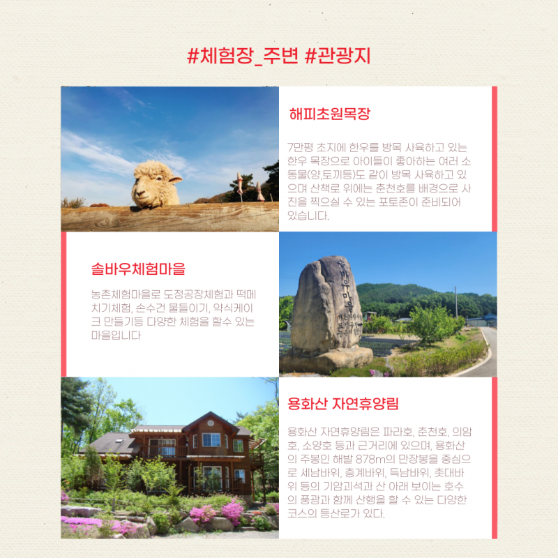 솔바우농부쌀,솔바우,춘천솔바우,지역먹거리,현지인먹거리,춘천먹거리,강원먹거리,백미,쌀,춘천농산물,강원농산물