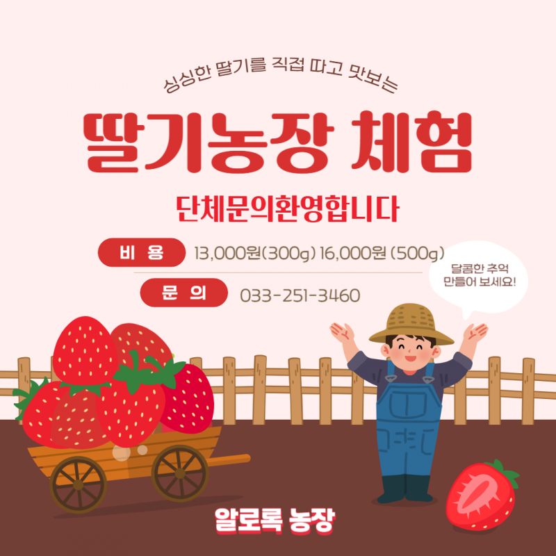 솔바우농부쌀,솔바우,춘천솔바우,지역먹거리,현지인먹거리,춘천먹거리,강원먹거리,백미,쌀,춘천농산물,강원농산물