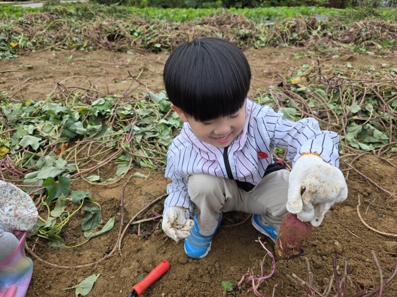 솔바우농부쌀,솔바우,춘천솔바우,지역먹거리,현지인먹거리,춘천먹거리,강원먹거리,백미,쌀,춘천농산물,강원농산물