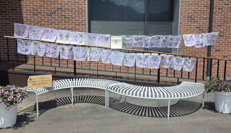 솔바우농부쌀,솔바우,춘천솔바우,지역먹거리,현지인먹거리,춘천먹거리,강원먹거리,백미,쌀,춘천농산물,강원농산물