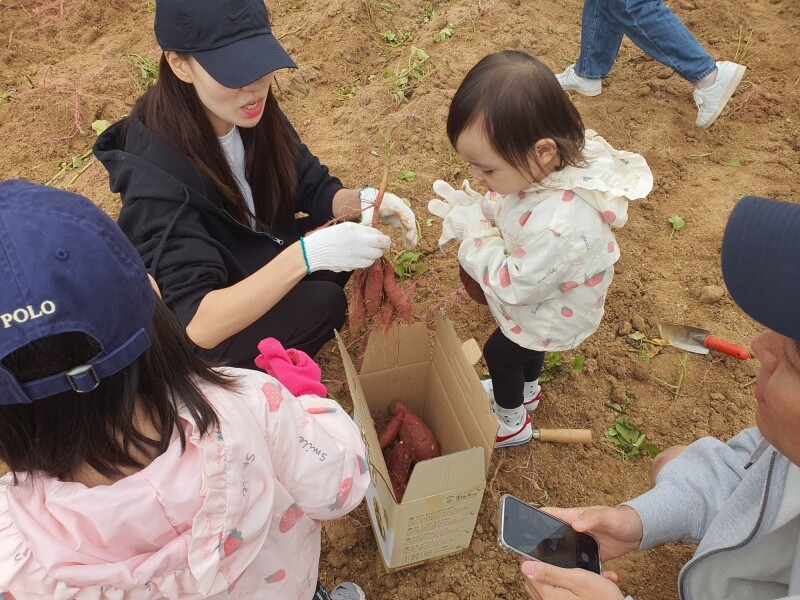 솔바우농부쌀,솔바우,춘천솔바우,지역먹거리,현지인먹거리,춘천먹거리,강원먹거리,백미,쌀,춘천농산물,강원농산물