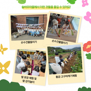 춘천솔바우체험