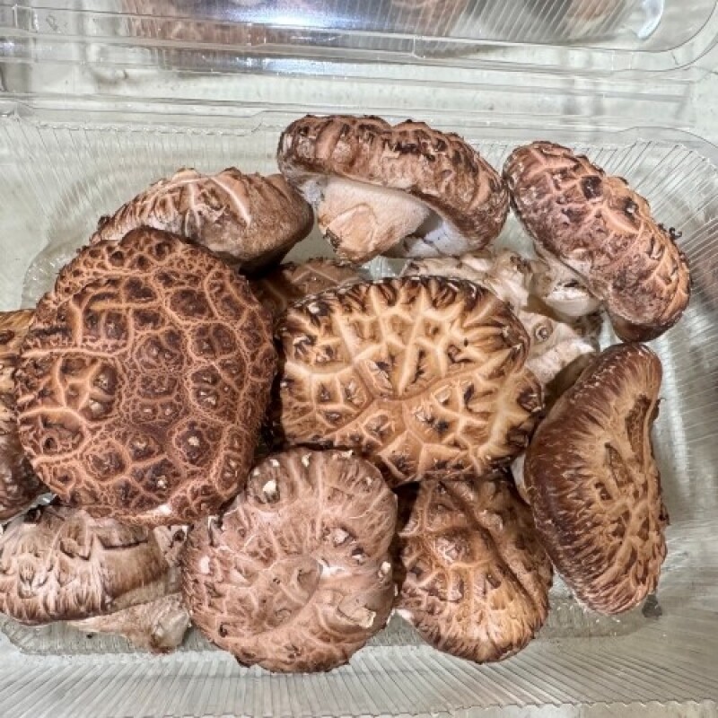 솔바우농부쌀,솔바우,춘천솔바우,지역먹거리,현지인먹거리,춘천먹거리,강원먹거리,백미,쌀,춘천농산물,강원농산물