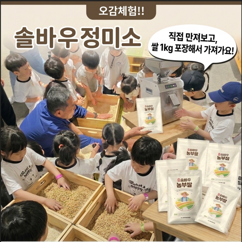 솔바우농부쌀,솔바우,춘천솔바우,지역먹거리,현지인먹거리,춘천먹거리,강원먹거리,백미,쌀,춘천농산물,강원농산물