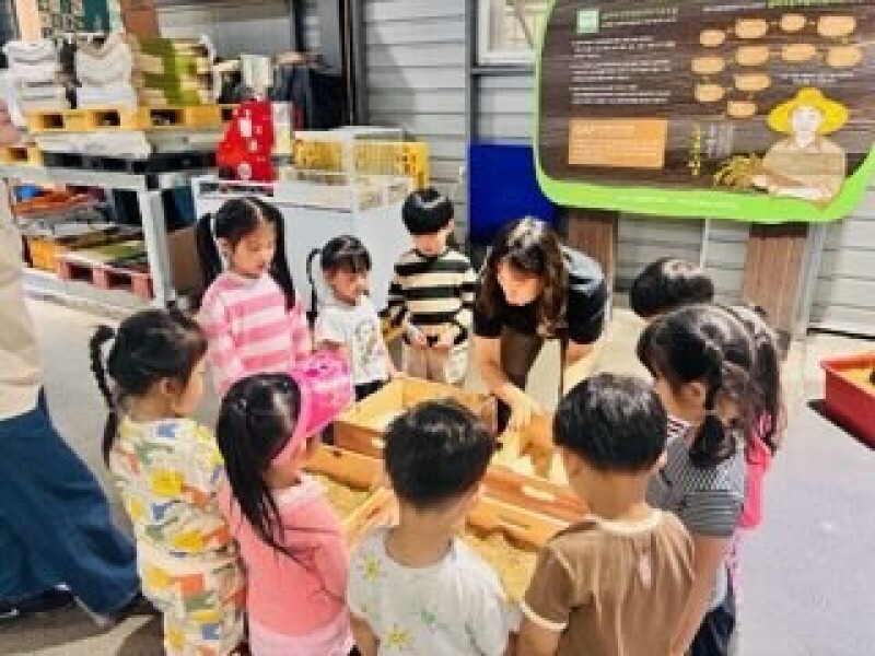 솔바우농부쌀,솔바우,춘천솔바우,지역먹거리,현지인먹거리,춘천먹거리,강원먹거리,백미,쌀,춘천농산물,강원농산물