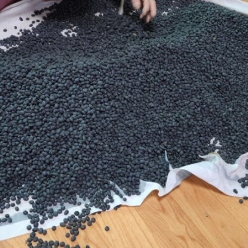 솔바우농부쌀,솔바우,춘천솔바우,지역먹거리,현지인먹거리,춘천먹거리,강원먹거리,백미,쌀,춘천농산물,강원농산물