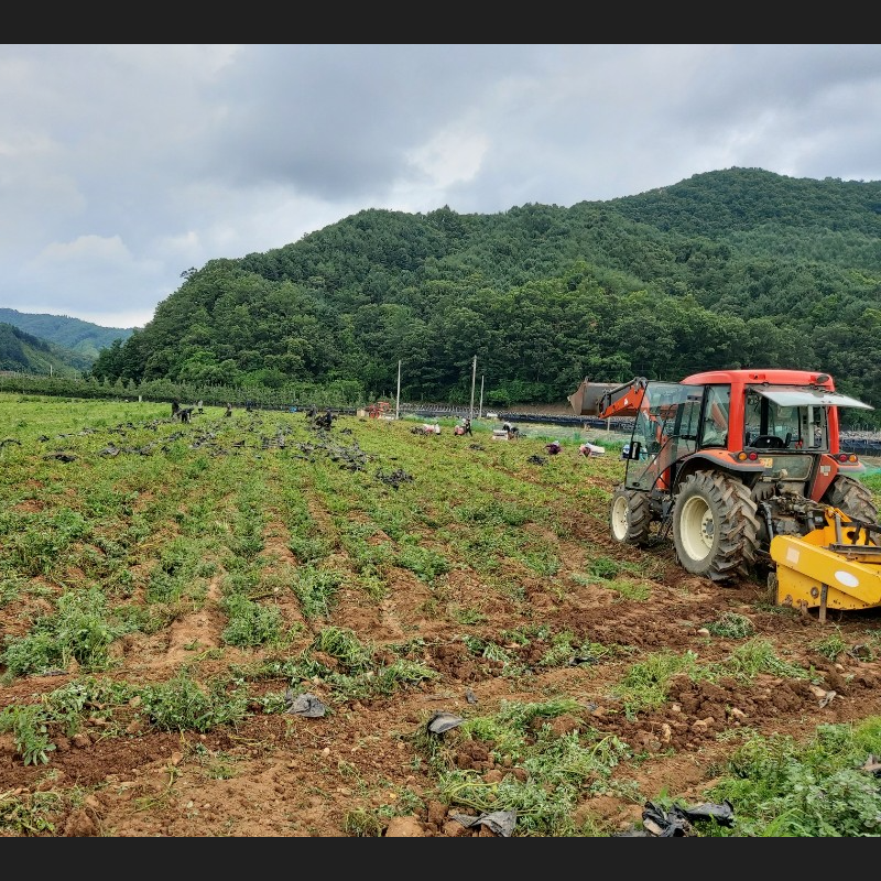 솔바우농부쌀,솔바우,춘천솔바우,지역먹거리,현지인먹거리,춘천먹거리,강원먹거리,백미,쌀,춘천농산물,강원농산물